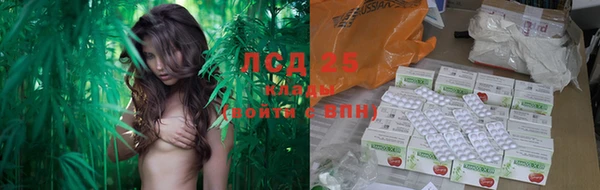 скорость Алзамай