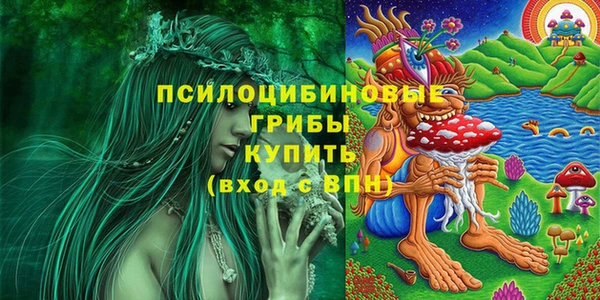 ешки Алексеевка